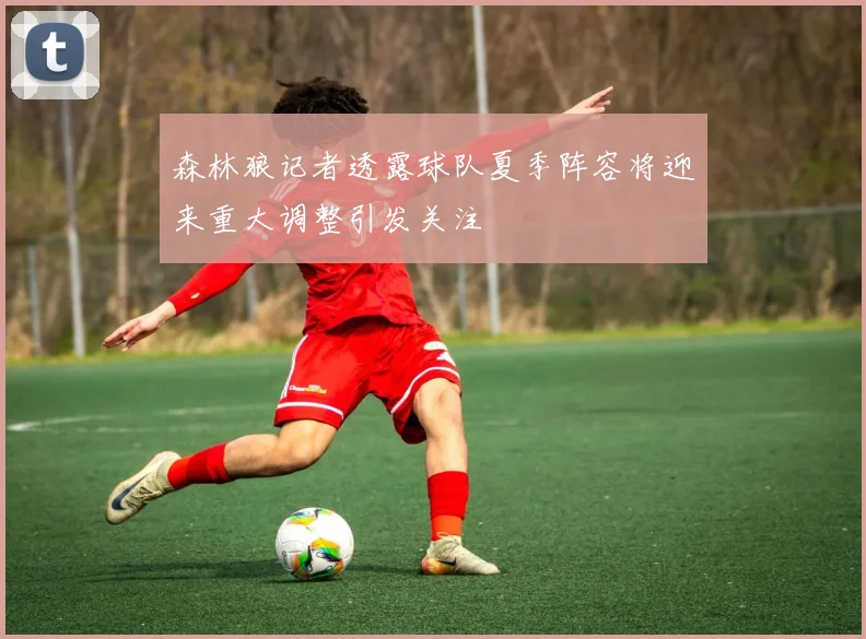 森林狼记者透露球队夏季阵容将迎来重大调整引发关注