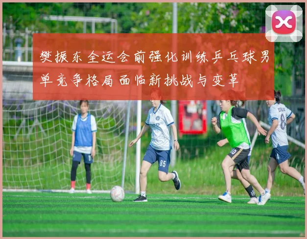 樊振东全运会前强化训练乒乓球男单竞争格局面临新挑战与变革