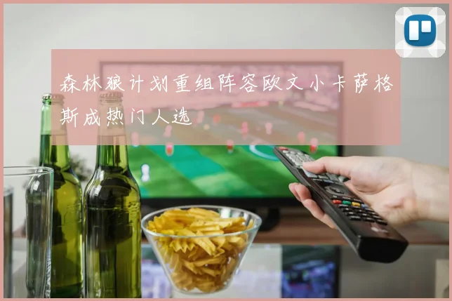 森林狼计划重组阵容欧文小卡萨格斯成热门人选